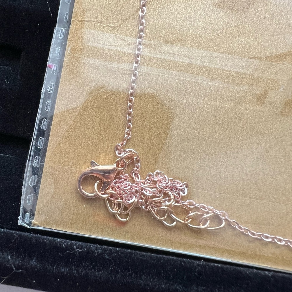 NWT Rose Gold Compass "Going" Places Pendant Necklace - Picture 5 of 6